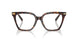 8015 - Tortoise