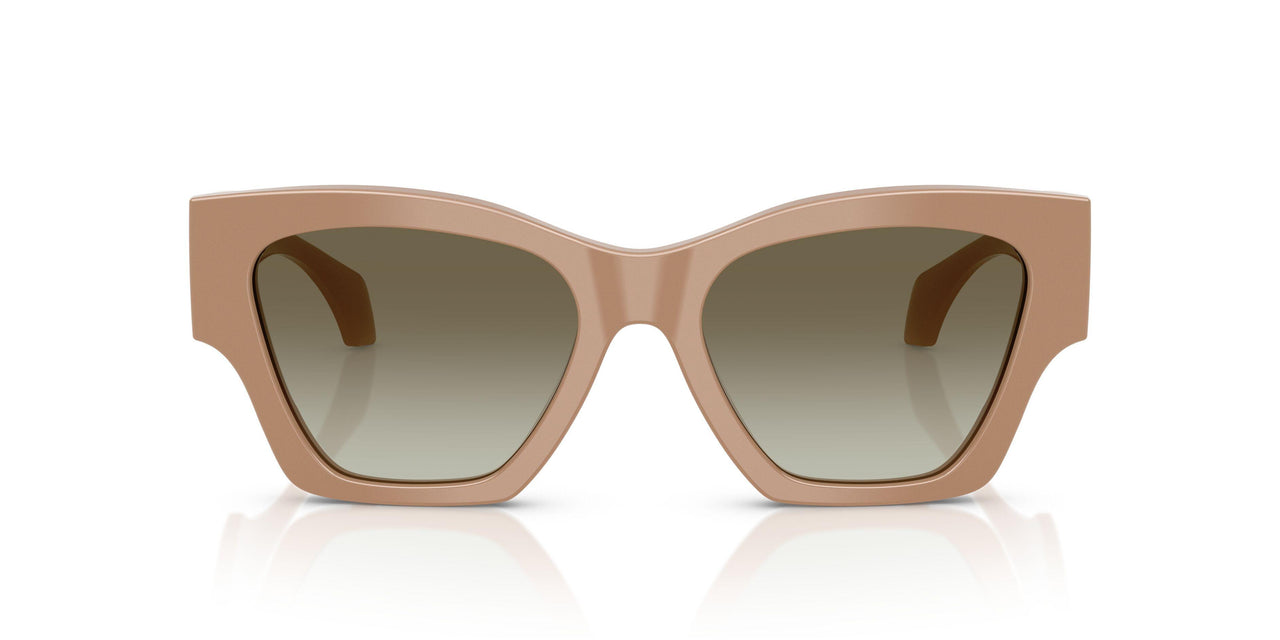 55178E - Brown - Green Gradient