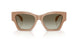 55178E - Brown - Green Gradient