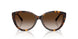 80153B - Tortoise - Brown Gradient