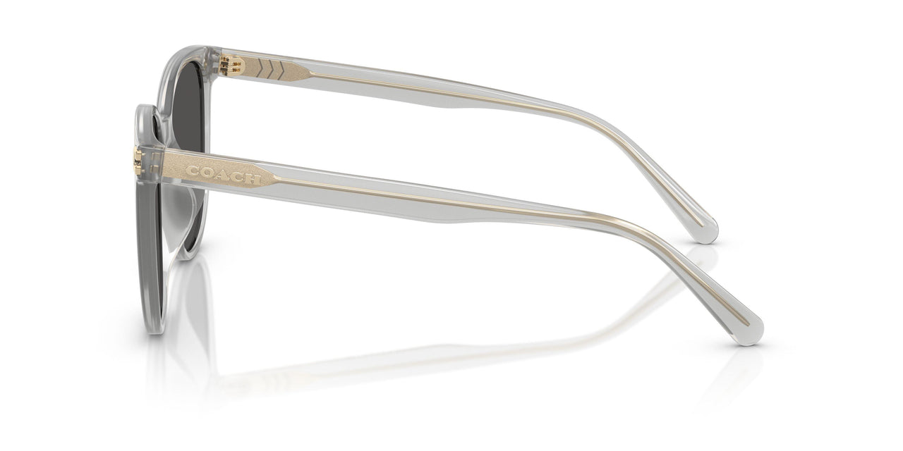 561487 - Transparent - Grey Solid