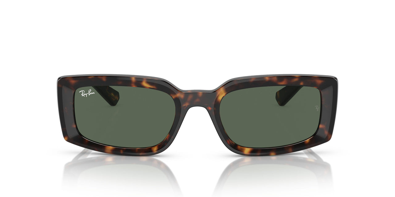 135971 - Tortoise - Dark Blue