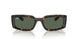 135971 - Tortoise - Dark Blue