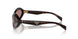 17N10D - Tortoise - Light Brown