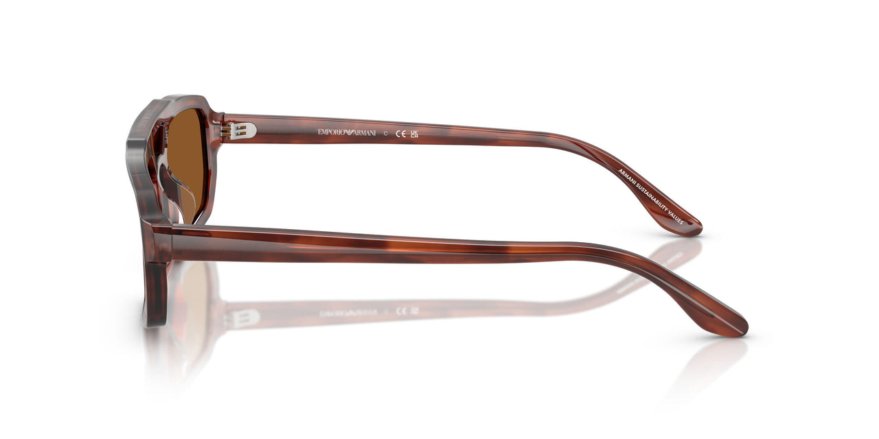 620373 - Brown - Brown