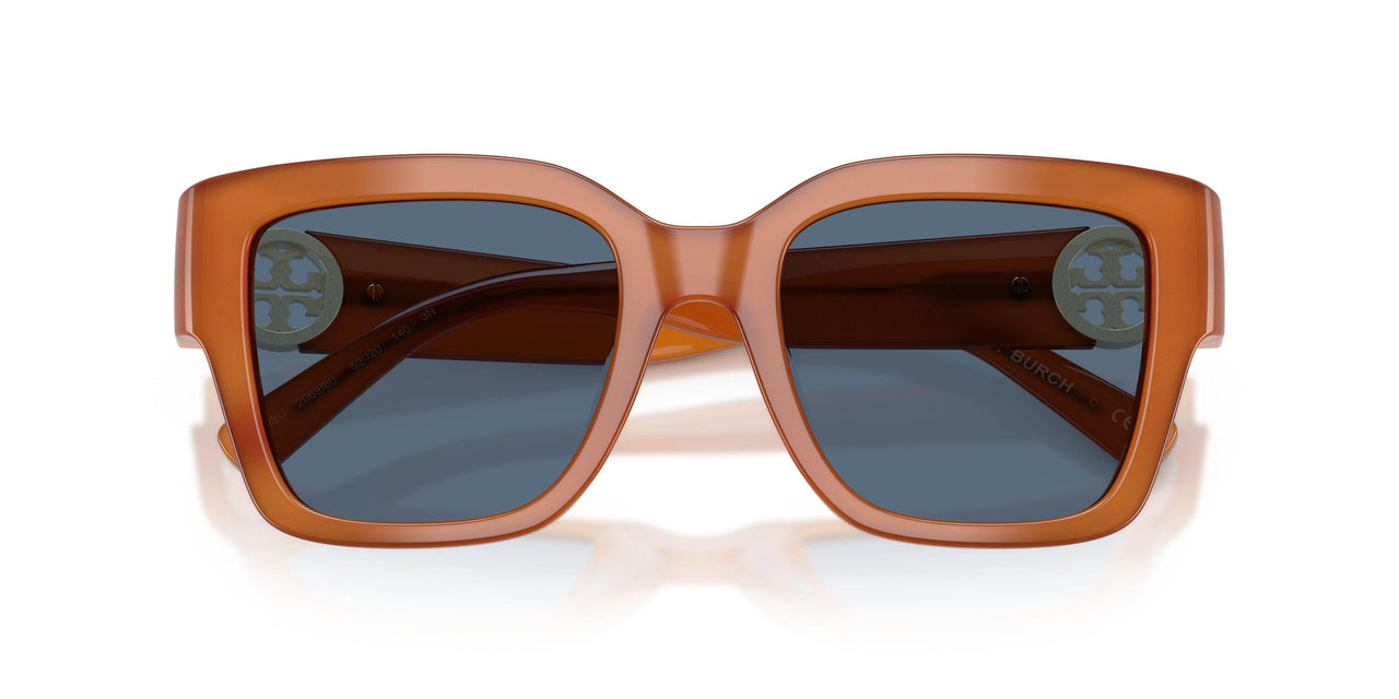 206980 - Brown - Blue