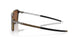 946904 - Havana - Prizm Tungsten Polarized