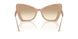 343213 - Brown - Clear Gradient Light Brown