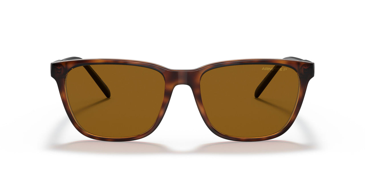 277083 - Havana - Polar Brown