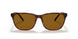 277083 - Havana - Polar Brown
