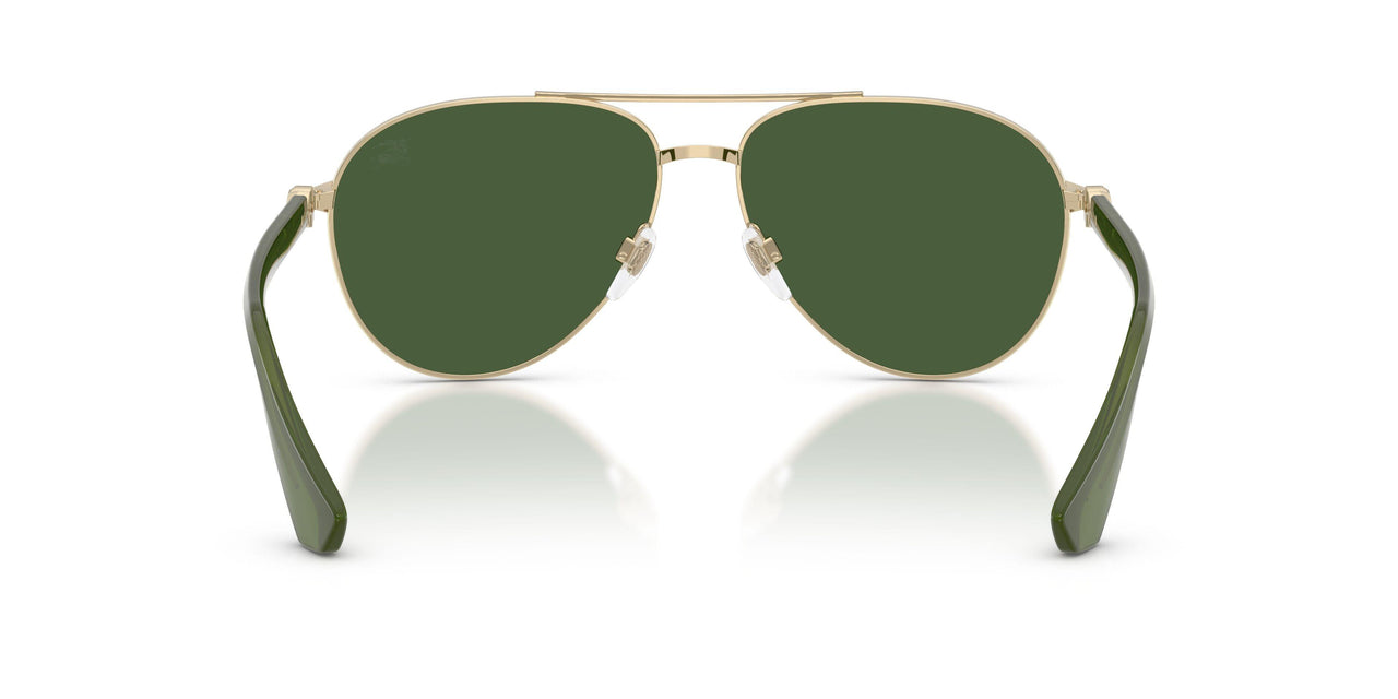 110971 - Gold - Dark Green