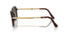 24/85 - Tortoise - Gradient Brown