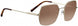 Serengeti SS548003 Sunglasses