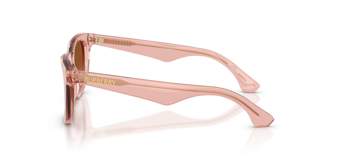 421413 - Pink - Brown Gradient