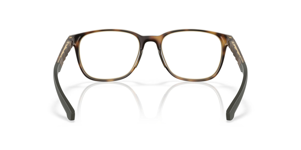 802202 - Tortoise