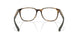 802202 - Tortoise