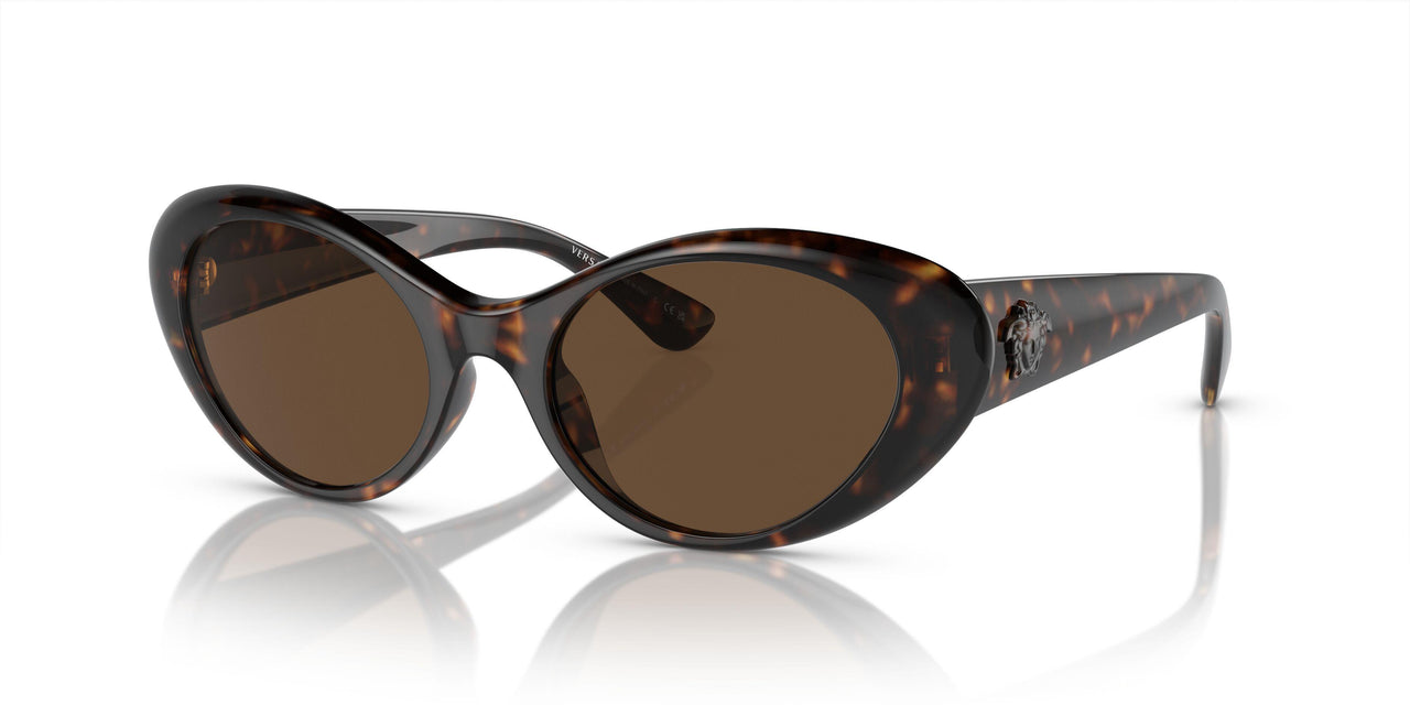 108/73 - Tortoise - Dark Brown
