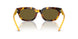 618173 - Tortoise - Dark Brown