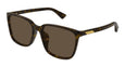 002 - Havana - Brown