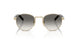 ZVN02C - Gold - Grey Gradient