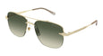 002 - Gold - Green