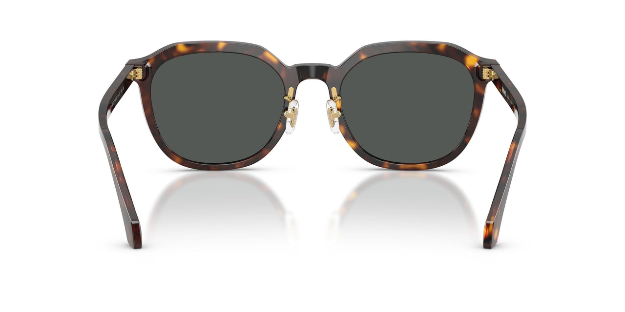 108/87 - Brown - Dark Grey