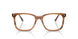 8455 - Tortoise - Clear