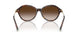 80153B - Tortoise - Brown Gradient