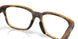 803202 - Tortoise
