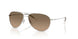 5036GN - Silver - Sandstone Gradient Polarized