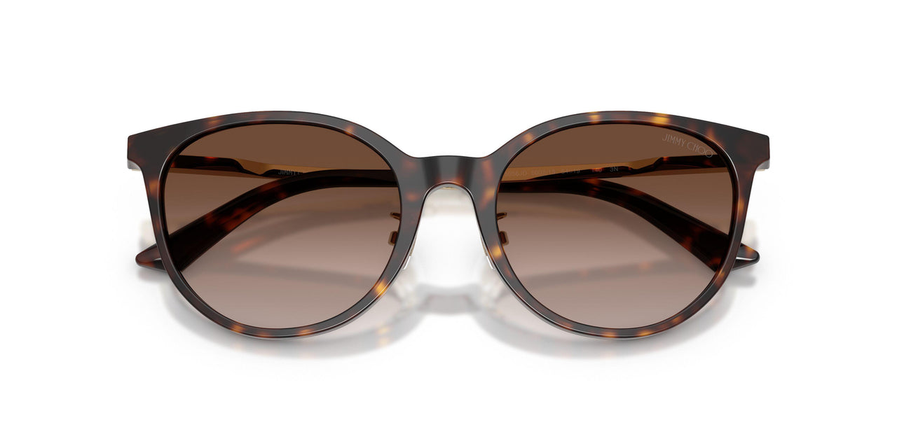 500213 - Tortoise - Gradient Brown