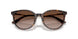 500213 - Tortoise - Gradient Brown