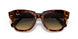 1324BG - Havana - Brown Vintage