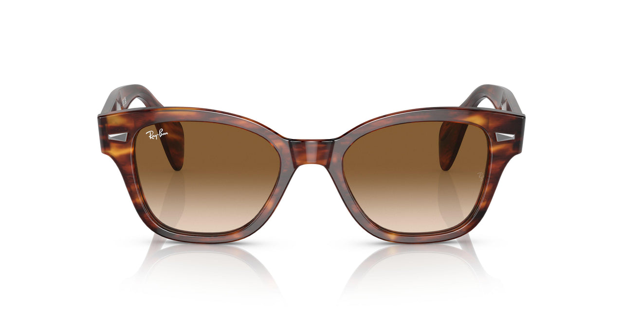 954/51 - Havana - Clear Gradient Brown
