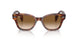 954/51 - Havana - Clear Gradient Brown