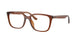 Ray-Ban 7248D Eyeglasses