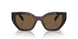 16N5Y1 - Brown - Dark Brown Polar