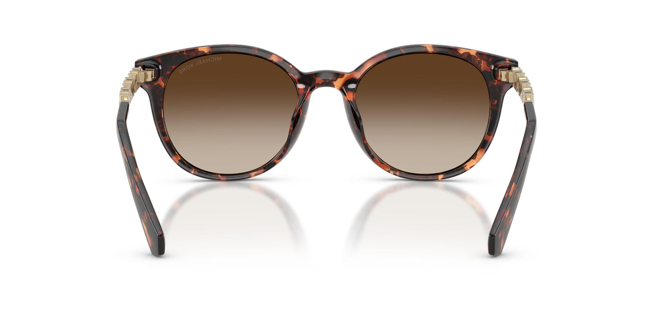 300613 - Tortoise - Smoke Gradient
