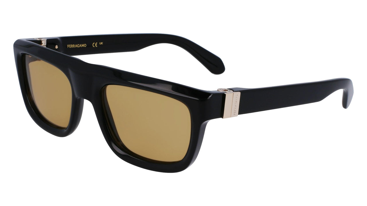 Salvatore Ferragamo SF2009S Sunglasses