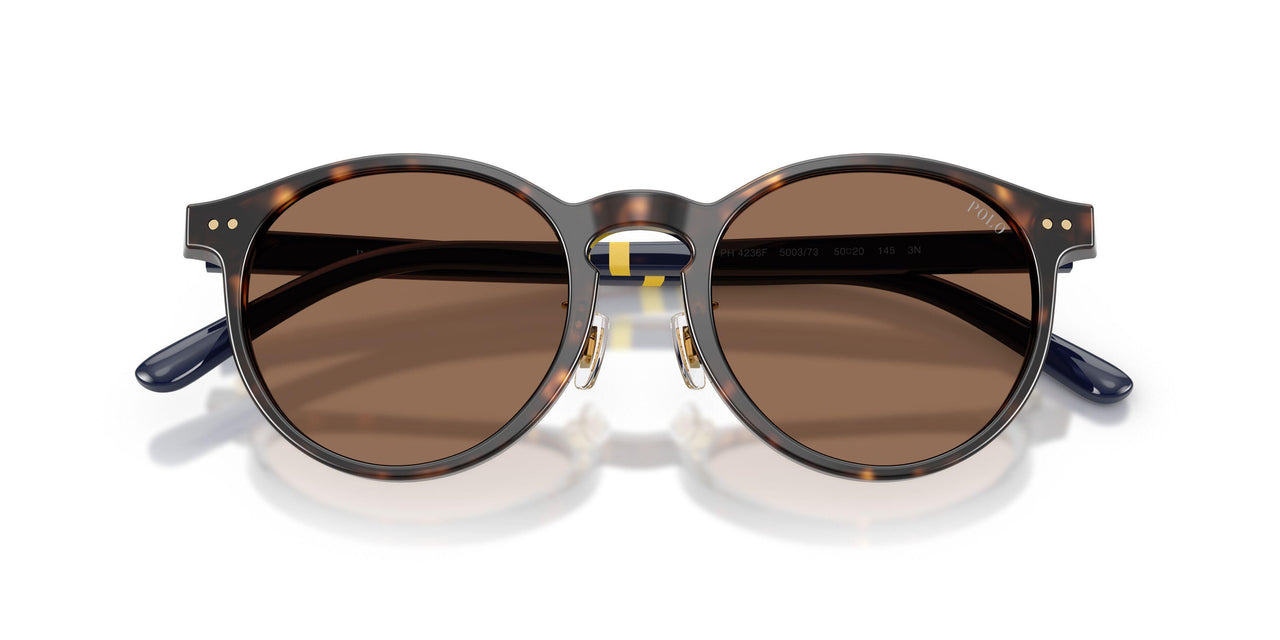 500373 - Tortoise - Brown