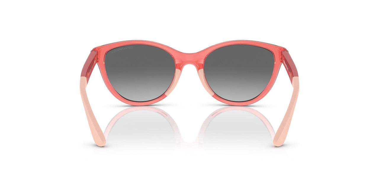 537711 - Pink - Gradient Grey