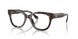 1964 - Tortoise