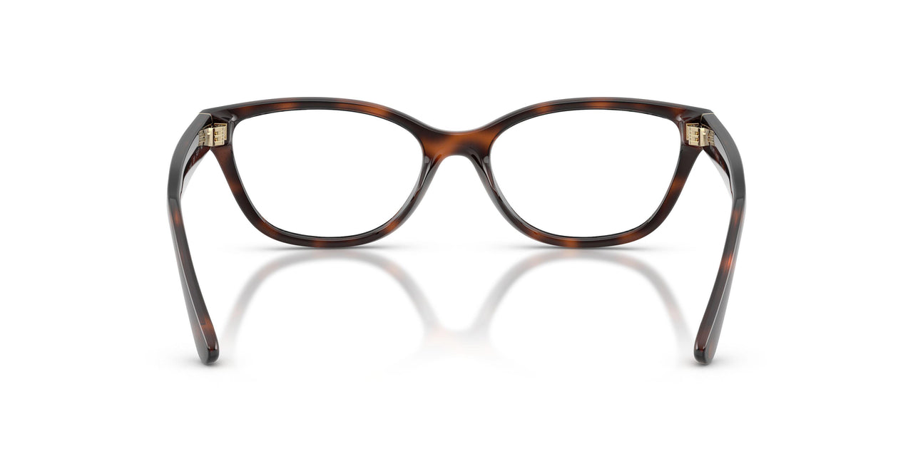 6241 - Tortoise
