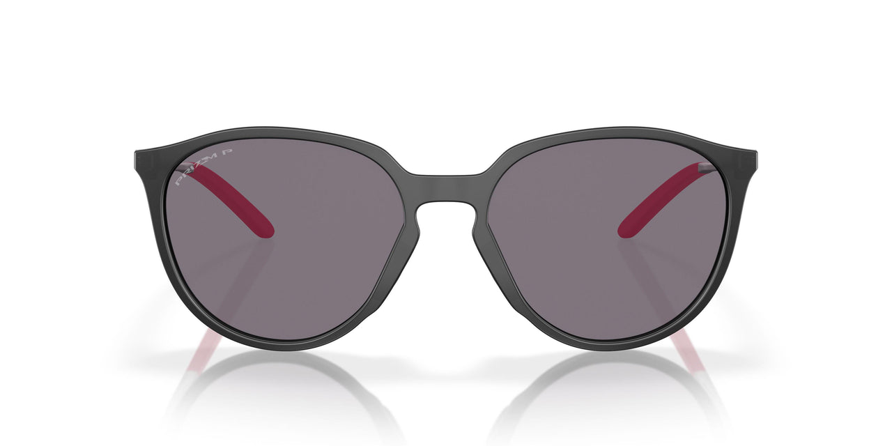 928801 - Black - Prizm Grey Polarized