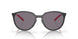 928801 - Black - Prizm Grey Polarized