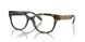 5404 - Tortoise