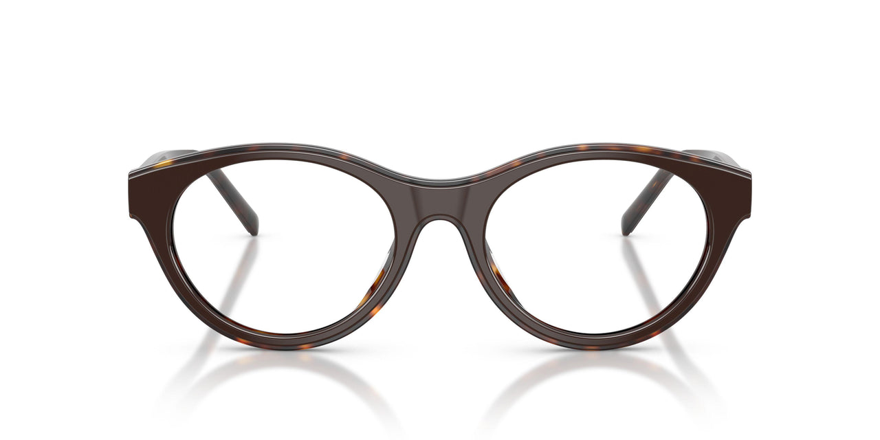 2069 - Brown