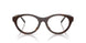 2069 - Brown