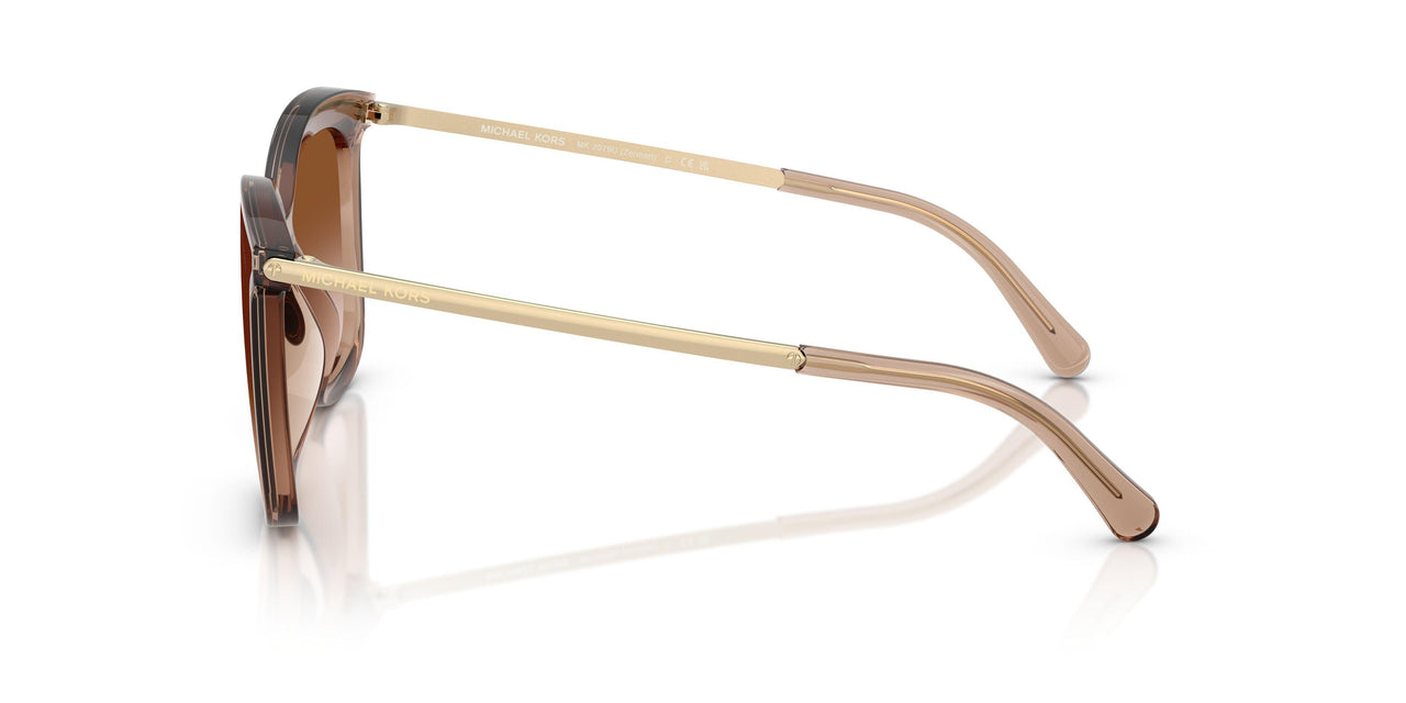 39383B - Brown - Brown Gradient