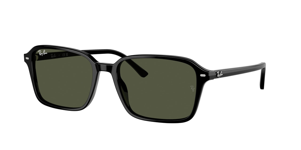 Ray-Ban Raimond 2231F Sunglasses